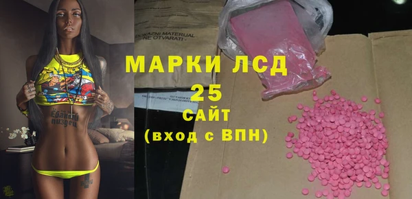 индика Володарск