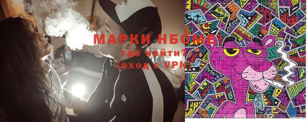 индика Володарск