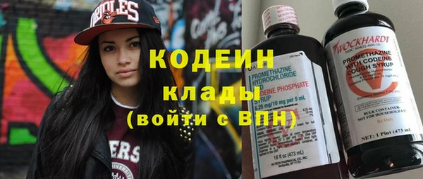 индика Володарск