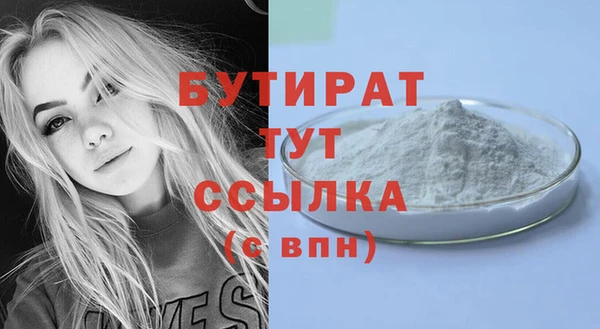 индика Володарск