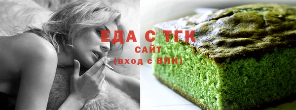 индика Володарск